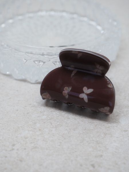 Hovedbilde Hårklype sommerfugler brun liten