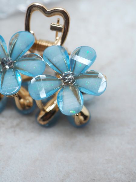 Hovedbilde Hårklype blomster lyseblå